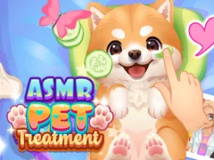 Jeu Traitement ASMR pour animaux de compagnie en ligne
