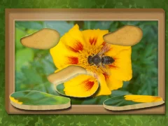 Jeu Trouver et restaurer: puzzle caché en ligne