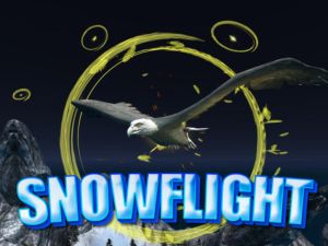 Jeu Vol de neige en ligne