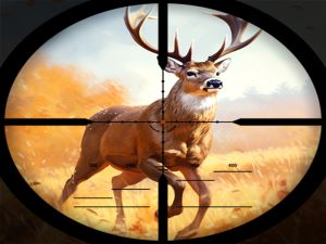 Jeu Affrontement de chasse sauvage en ligne