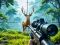 Jeu Chasse au cerf dans la jungle en ligne