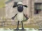 Jeu Shaun le Mouton : Pull en Laine ! en ligne