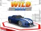 Jeu Course Sauvage en ligne