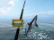 Jeu Pêche en mer azur en ligne