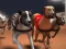 Jeu Courses de lévriers en ligne