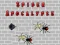 Jeu Apocalypse Araignée en ligne