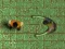 Jeu Labyrinthe de l'Infection en ligne