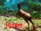 Jeu Chasseur en ligne