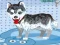 Jeu Mon chien mignon au bain en ligne