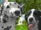 Jeu Simulateur de Chien 3D en ligne