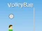 Jeu Volley-ball en ligne