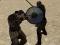 Jeu Simulateur de gladiateur en ligne