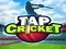 Jeu Cricket Tap en ligne