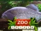 Jeu Trivia Zoo en ligne