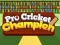 Jeu Champion de Cricket Pro en ligne