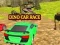Jeu Course de Voitures Dino en ligne