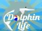 Jeu La Vie des Dauphins en ligne