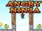 Jeu Ninja En Colère en ligne