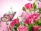 Jeu Puzzle de Papillons en ligne
