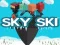 Jeu Ski Céleste en ligne