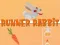 Jeu Lapin Coureur en ligne