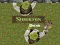 Jeu Shrek.amusant en ligne