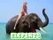 Jeu Puzzle des Éléphants en ligne