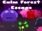 Jeu Évasion dans la forêt calme en ligne