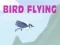 Jeu Vol d'oiseau en ligne