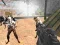 Jeu Combat Strike Zombie Survie Multijoueur en ligne