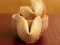 Jeu Cookies de fortune en ligne