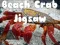 Jeu Puzzle de Crabe de Plage en ligne