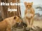 Jeu Puzzle Carnivore Afrique en ligne