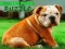 Jeu Puzzle de chiots bulldog en ligne