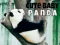Jeu Joli bébé panda en ligne