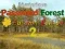 Jeu Forêt de mot de passe mystérieux Édition automne 2 en ligne