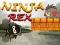 Jeu Ninja Rex en ligne