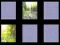 Jeu Mémoire de la Nature en ligne