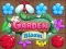 Jeu Fleurissement du Jardin en ligne