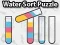 Jeu Puzzle de tri de l'eau en ligne