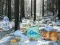 Jeu Aventure en pleine forêt dans un pays des merveilles d'hiver en ligne