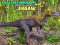 Jeu Puzzle des plus petits dinosaures en ligne