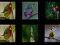 Jeu Mémorisez les oiseaux en ligne