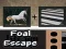 Jeu Évasion de poulain en ligne