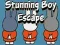 Jeu Évasion du Garçon Époustouflant en ligne