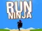 Jeu Cours Ninja en ligne