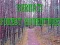 Jeu Aventure en forêt de Bernati en ligne