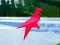 Jeu Tir aux oiseaux en ligne