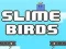 Jeu Oiseaux de Slime en ligne