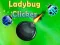 Jeu Cliqueur de Coccinelle en ligne